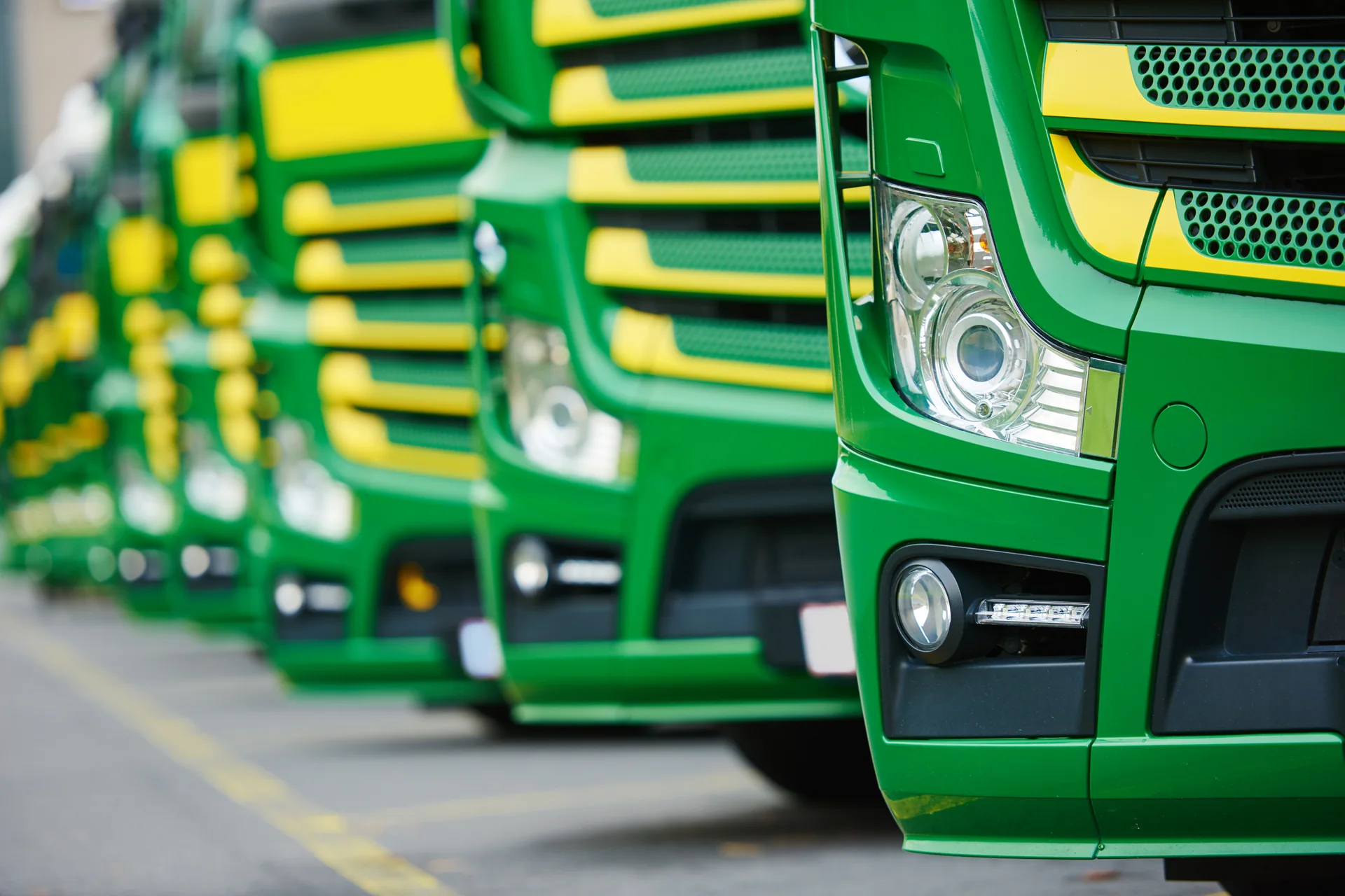 Search Operator Records by Company Number