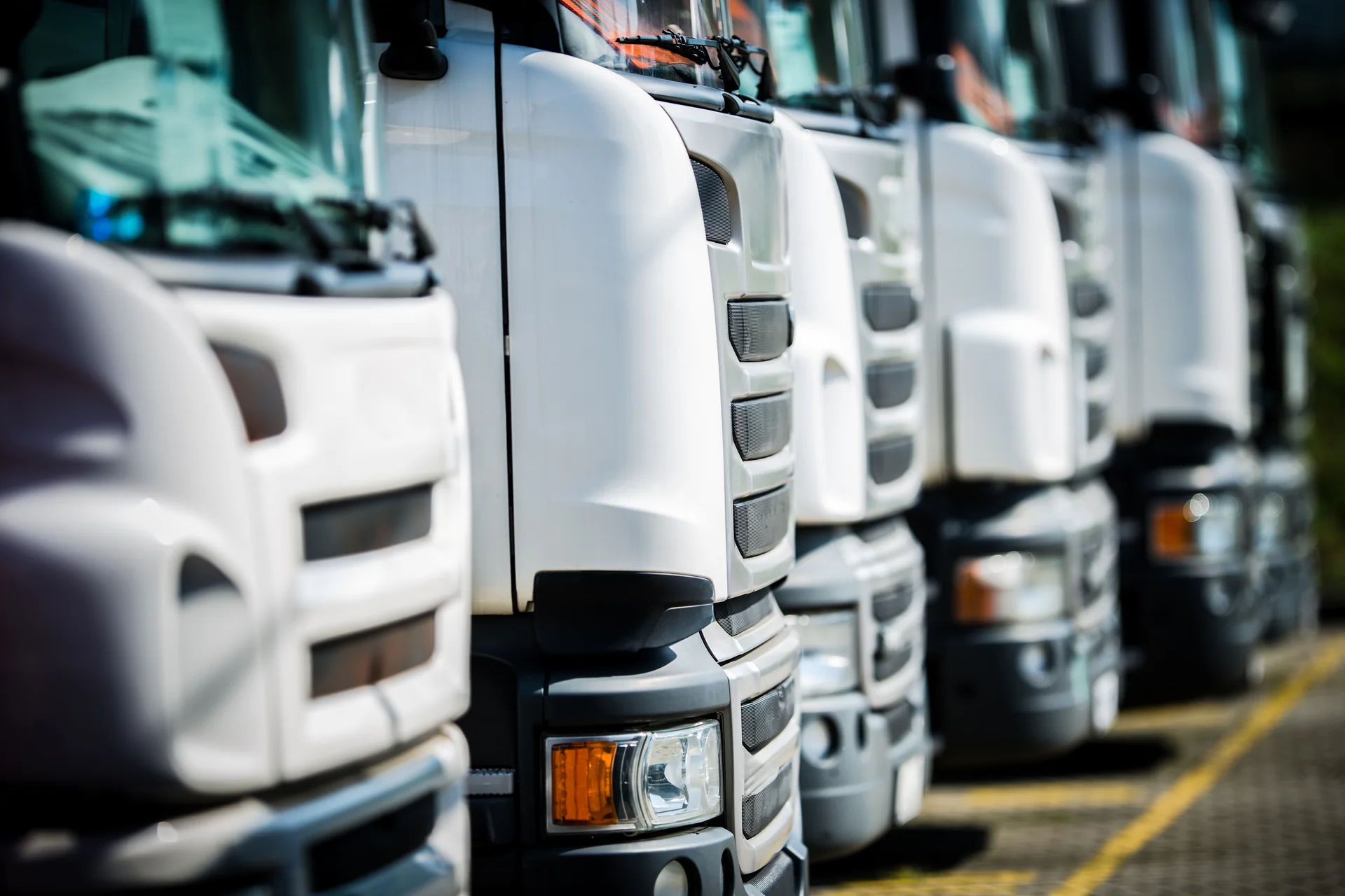 Why an Operator Licence Record May Not Be Found